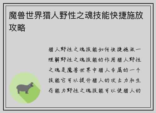 魔兽世界猎人野性之魂技能快捷施放攻略